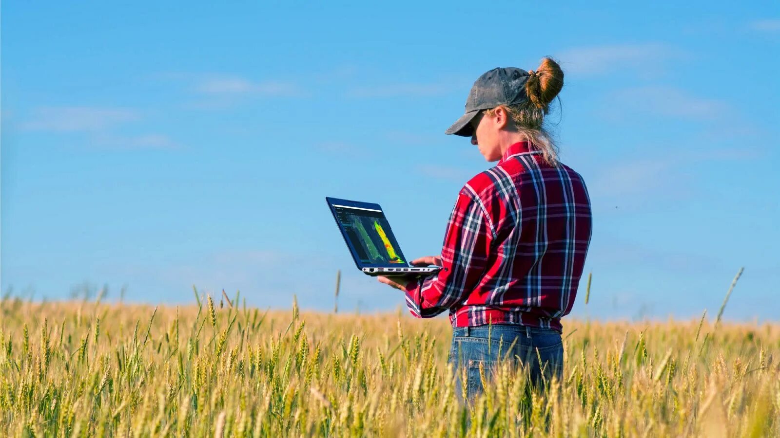 Girl working the field. Человек и природа. In the field предложения. Standards. Фермеры пожимают руки.