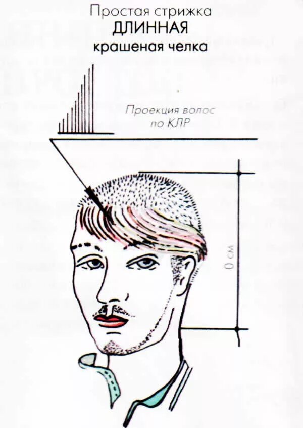 Стрижка мужская схема стрижки. Мужская удлиненная стрижка схема. Схема мужской стрижки с длинной челкой. Стрижка мужской челки схема. Как научиться стричь мужские стрижки