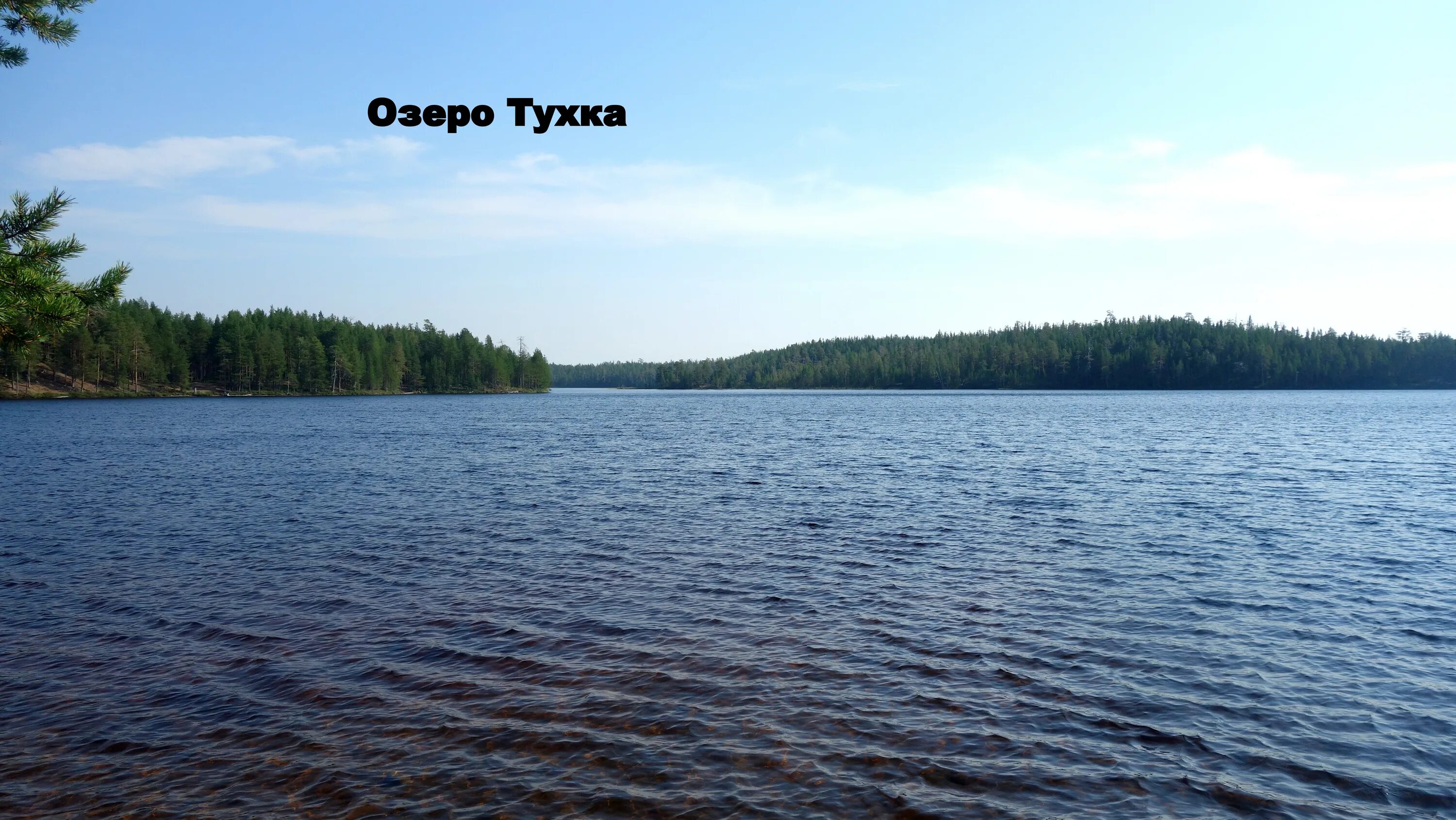Черное озеро фряновское шоссе. Черное озеро щелковское. Черное озеро фряново. Черное озеро щелковское. Черное озеро фряново.