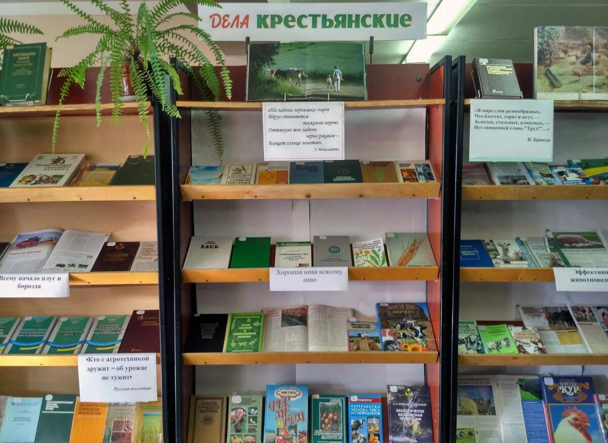 Интересные книжные выставки. Тематическая выставка. Выставки в библиотеке. Книжная выставка по сельскому хозяйству в библиотеке.