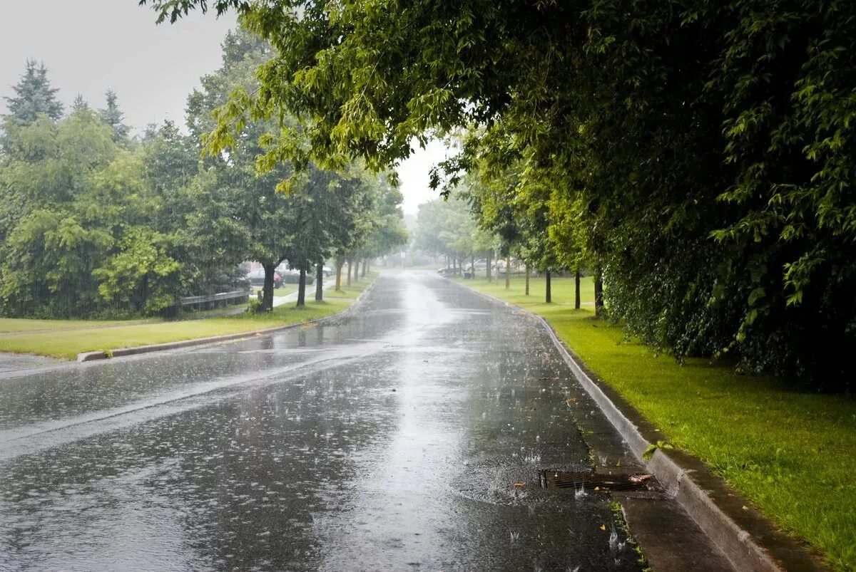 После летнего дождика. Лето дождь. Мокрая дорога. Дождливое лето в городе. Дождливый день.