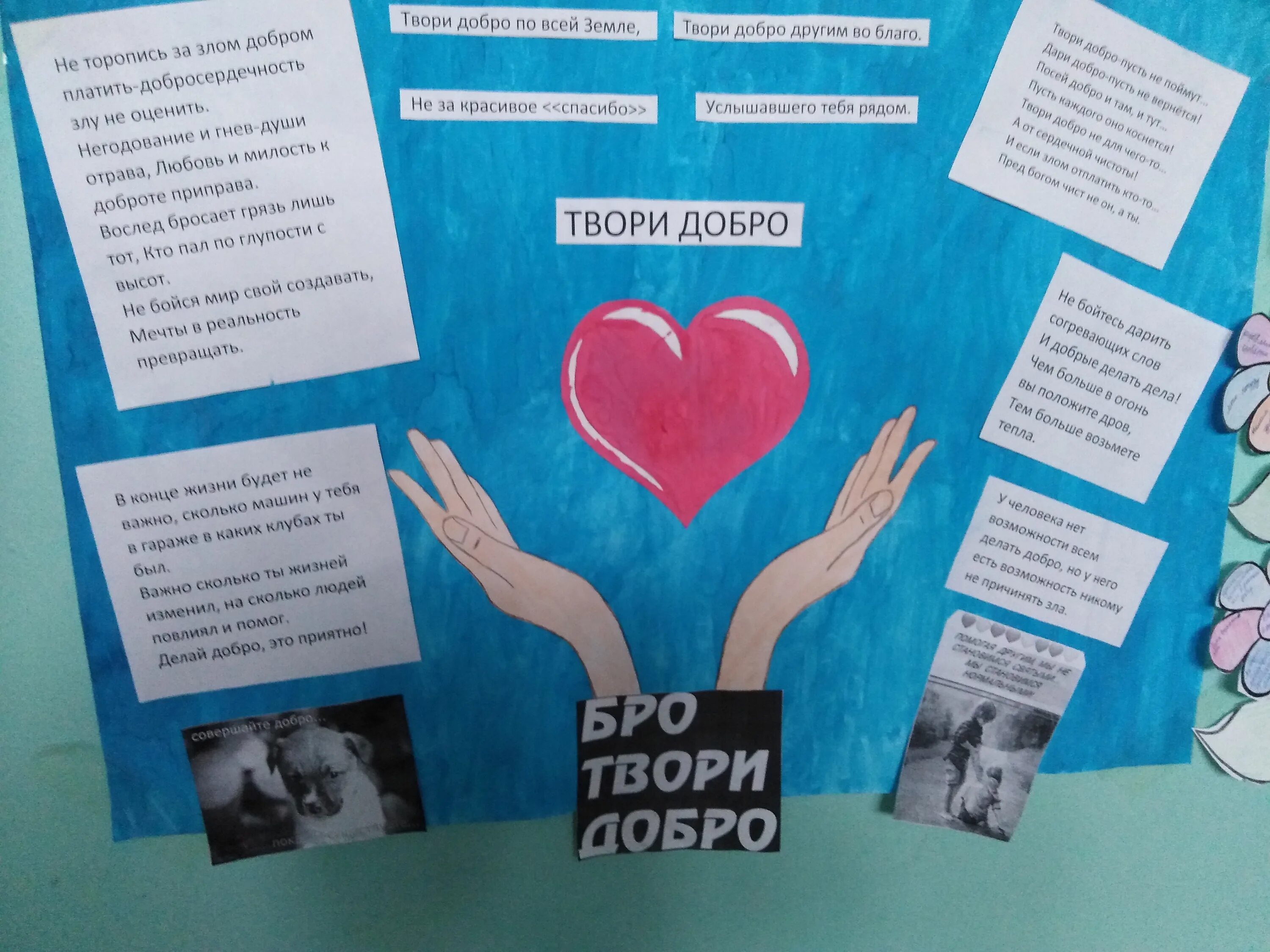 акция добрые дела в школе. неделя добрых дел. добрые дела в школе. дерево доброты в доу. акция гирлянда добрых дел.