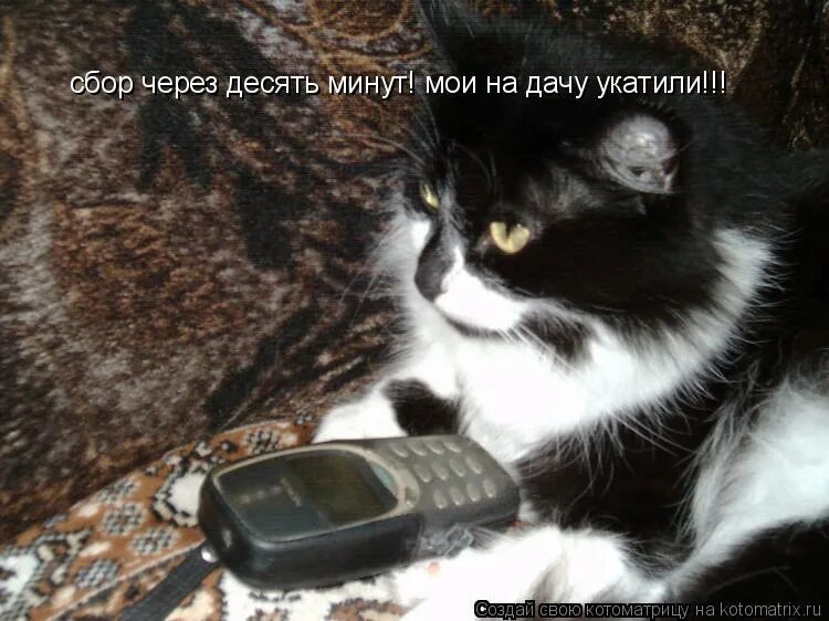 топ мем. закажем твою пиццу мем. никого нет дома. за вами приедет омон такси. через 5 минут приедет.