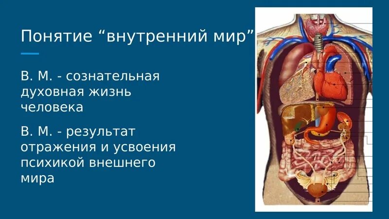 Как выглядит внутренний мир Обществознание. Профильный уровень. 10 класс. Комплекс уроков-презентаций.
