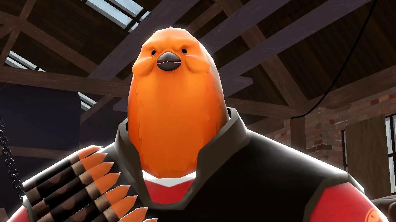 Heavy bird. Team Fortress 2 pootis. Путис тф2. Путис птичка tf2. Путис хеви тф2.