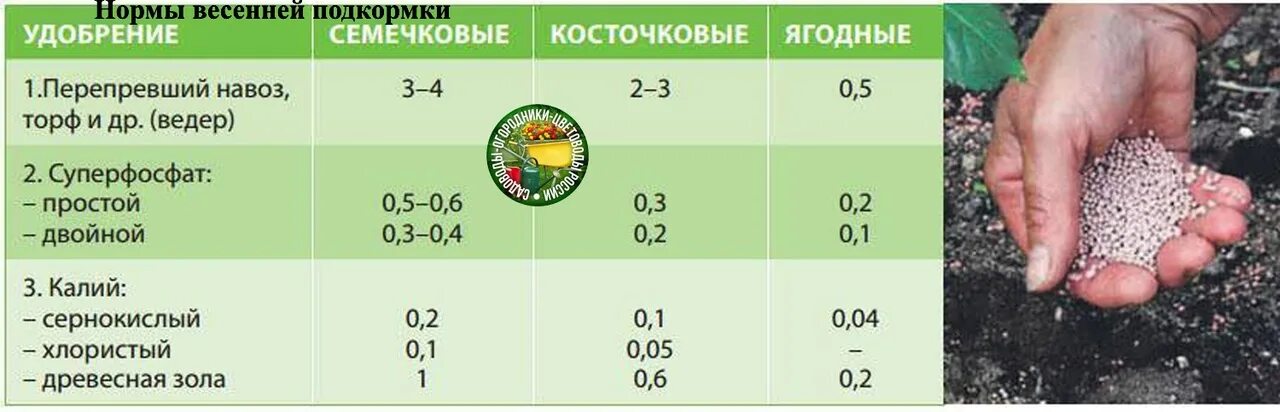 Какое удобрение лучше вносить весной. Подкормка плодовых деревьев весной удобрениями. Нормы Минеральных удобрений для плодовых деревьев. Нормы внесения азотных удобрений плодовые деревья. Схема внесения удобрений весной.