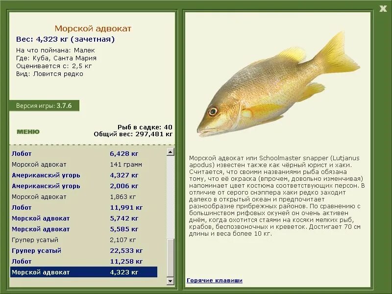 клички для рыбок. клички для рыб. имена для рыбок мальчиков. как можно назвать рыбу. название рыб по алфавиту от а до я речных.