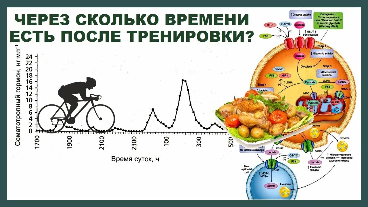 Сколько будет время после 5. Через сколько после тренировки можно кушать. Через сколько есть после тренировки. Через какое время после тренировки можно есть. Во сколько можно есть после тренировки.