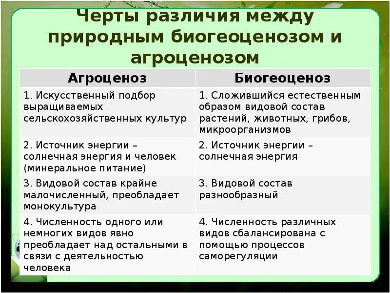 Отлицияагроциноза и природной экосистемы. Chfdytybt tcntcndtyys´b bcreccndtyys´{rjcbcntv. Различия агроценоза и биогеоценоза. Черты различия природной экосистемы и агроэкосистемы. Признаки и черты различия