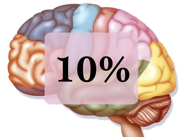 10 процентов мозга. Мозг задействован на 10%. Работа мозга человека в процентах. Мозг суперсила.