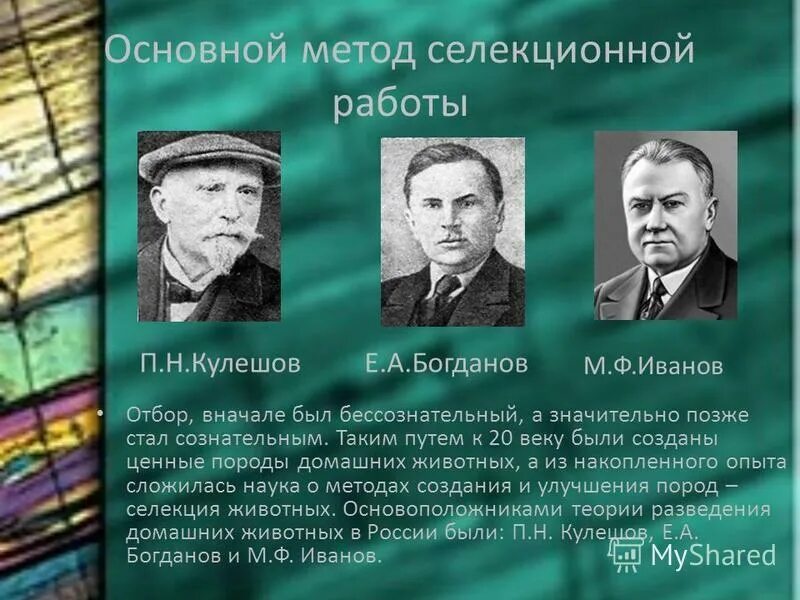 Достижения селекции. М ф иванов селекционер достижения. Михаил фёдорович иванов селекционер. Достижения селекции животных. Достижения современной селекции животных.