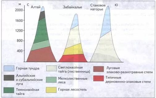 География урал и горы южной сибири. Высотная поясность горы Южной Сибири схема. Высотная поясность гор Южной Сибири. Схема ВЫСОТНОЙ поясности гор Южной Сибири. Пояс гор Южной Сибири Высотная поясность.