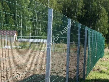 50 заборов