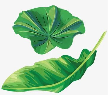 Leaves illustration