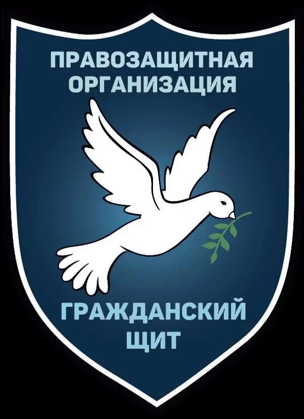 Правозащитные организации. Правозащитные организации России. Логотипы правозащитных организаций. Правозащитные организации картинки. Организация правозащитной деятельности