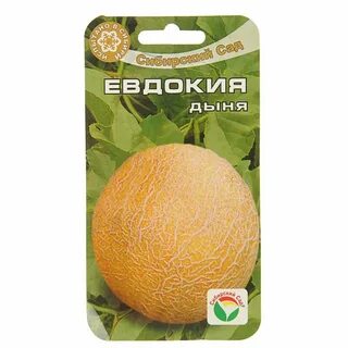 Дыня сережкина любовь