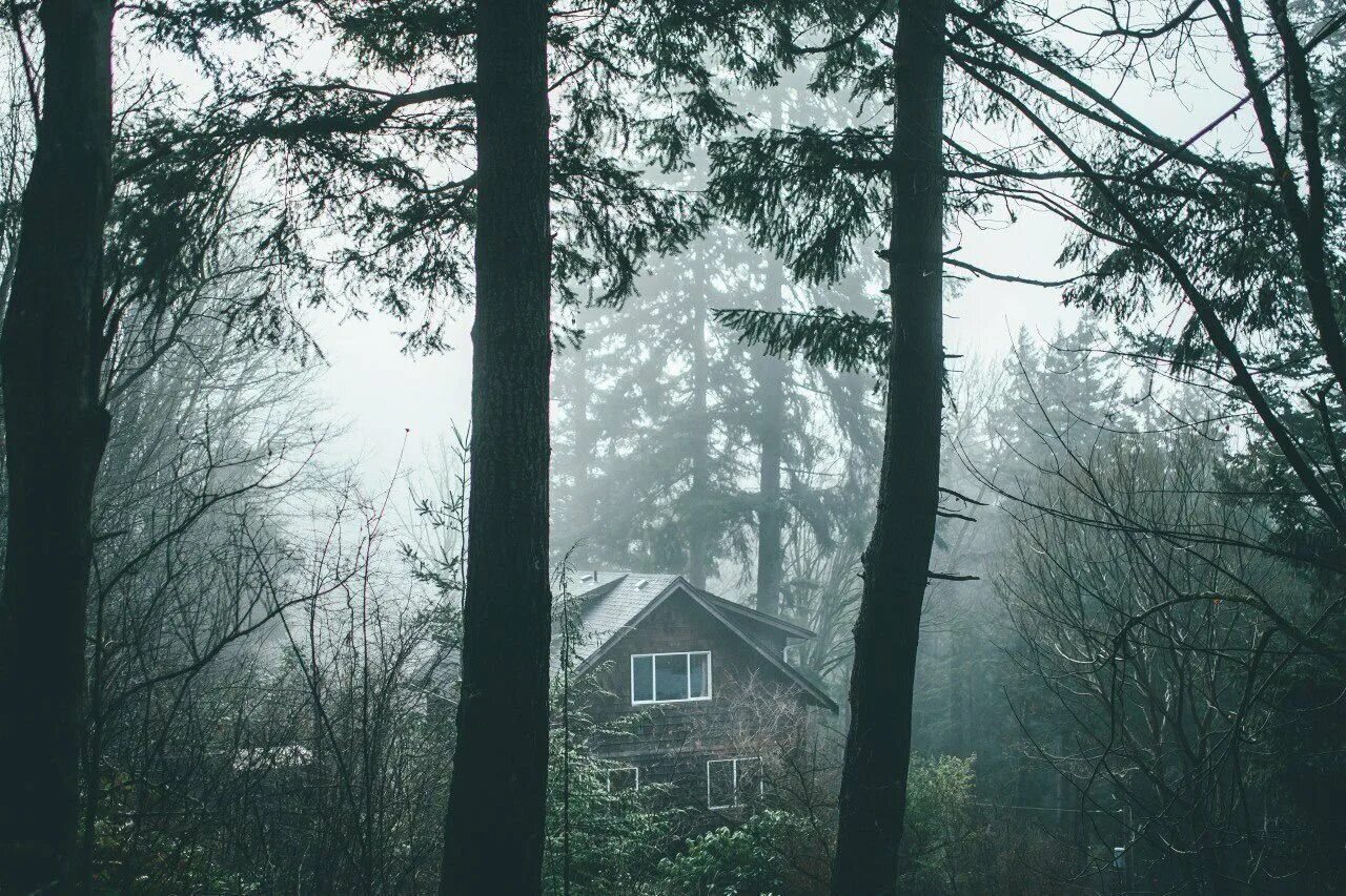 Gloomy village. Дом в лесу. Атмосферные домик в лесу. Мрачный дом в лесу. Домик в темном лесу.