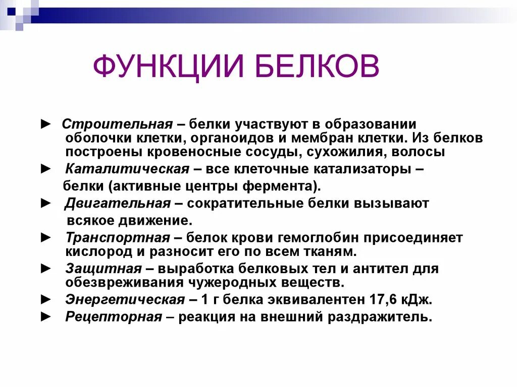 Список функций белков. Белки функции. Функции белков. Строительная функция белков.