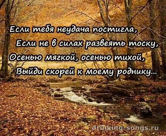 Слова песни родники. Высказывания о роднике. Текст песни Родник. Красивые слова о роднике. Высказывания о Родниках.