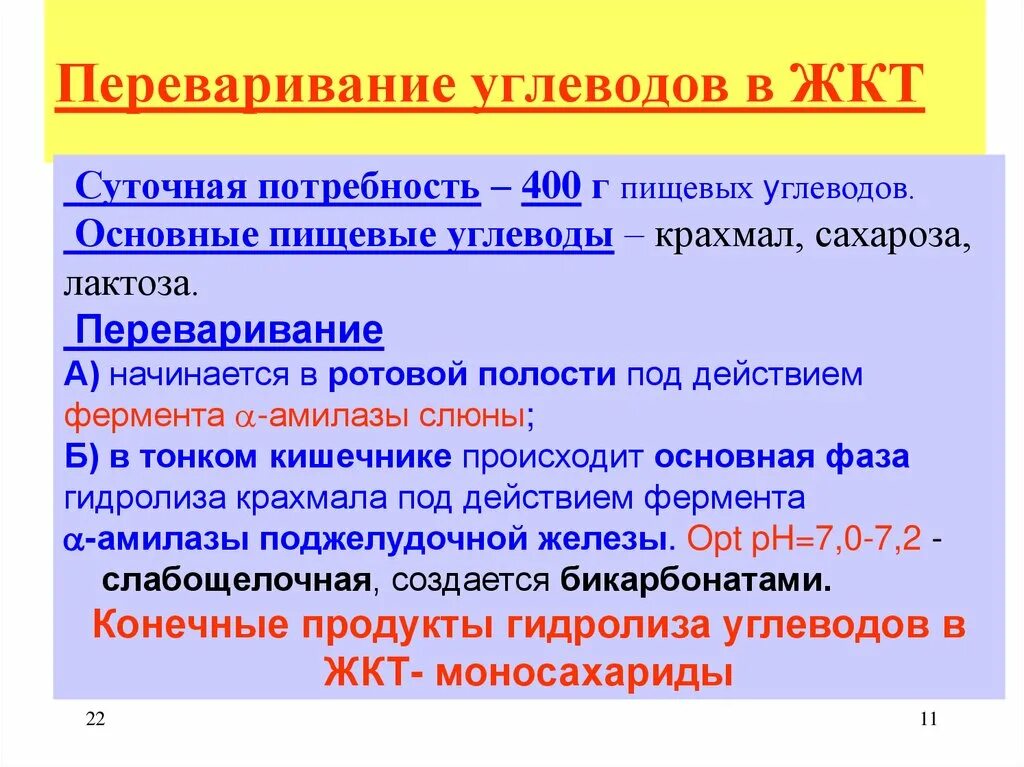 Лактоза усваивается организмом. Переваривание углеводов. Переваривание углеводов биохимия. Переваривание углеводов в желудочно-кишечном тракте. Этапы переваривания углеводов.