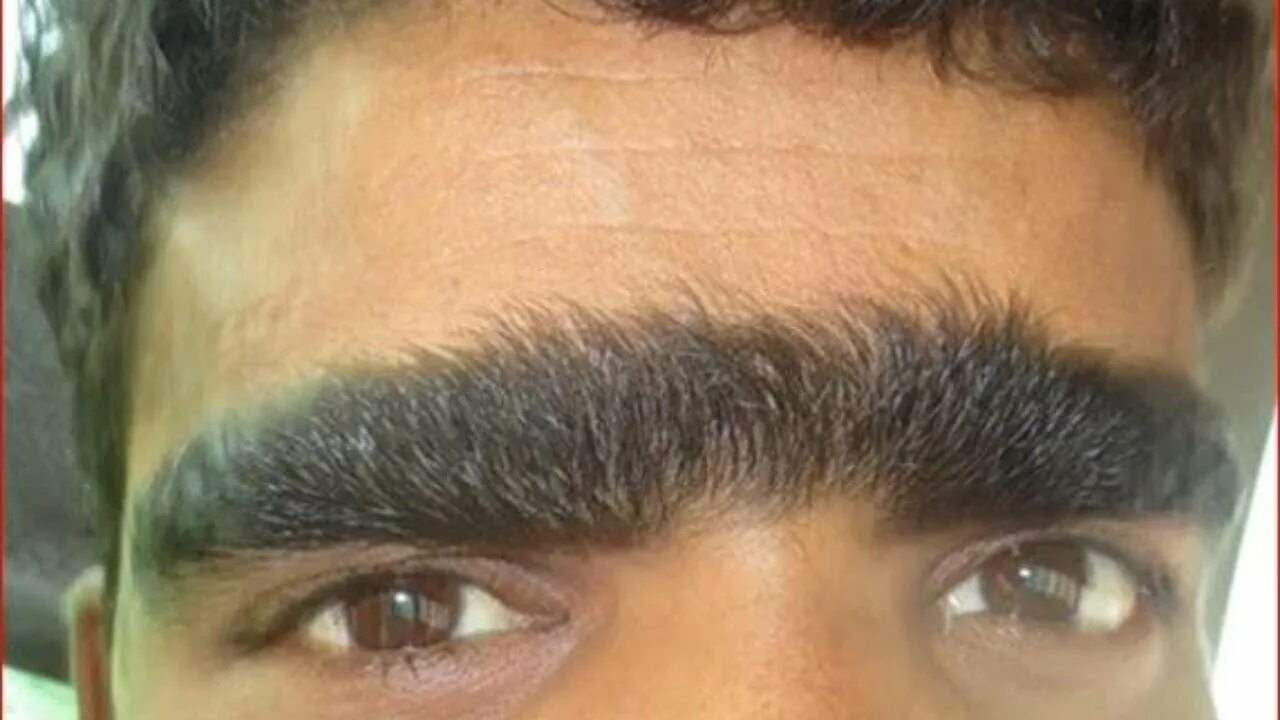 Eyes and brows Makeup, Face, Brows