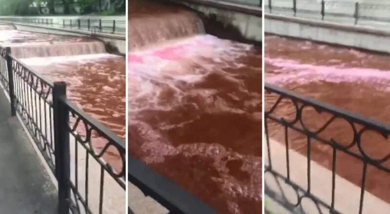 Песни вода окрасится кровью на русском. Красная вода результат чего. Вся вода окрасилась кровью фото.