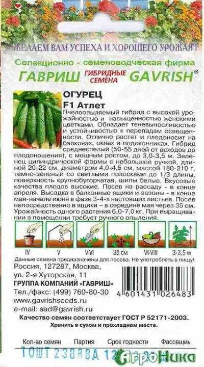 Огурцы атлет фото и описание отзывы Огурец атлет f1: фото и описание, отзывы о сорте, устойчивость и урожайность