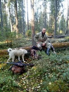 Погода в зимстане