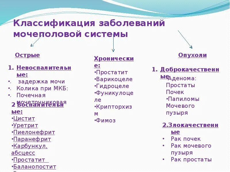 Лечение мочеполовых болезней мужчин. Общая классификация заболеваний мочевыделительной системы. Классификация заболеваний мочеполовой системы схема. Классификация заболеваний органов мочевыделения у детей. Классификация заболеваний мочеполовой системы таблица.