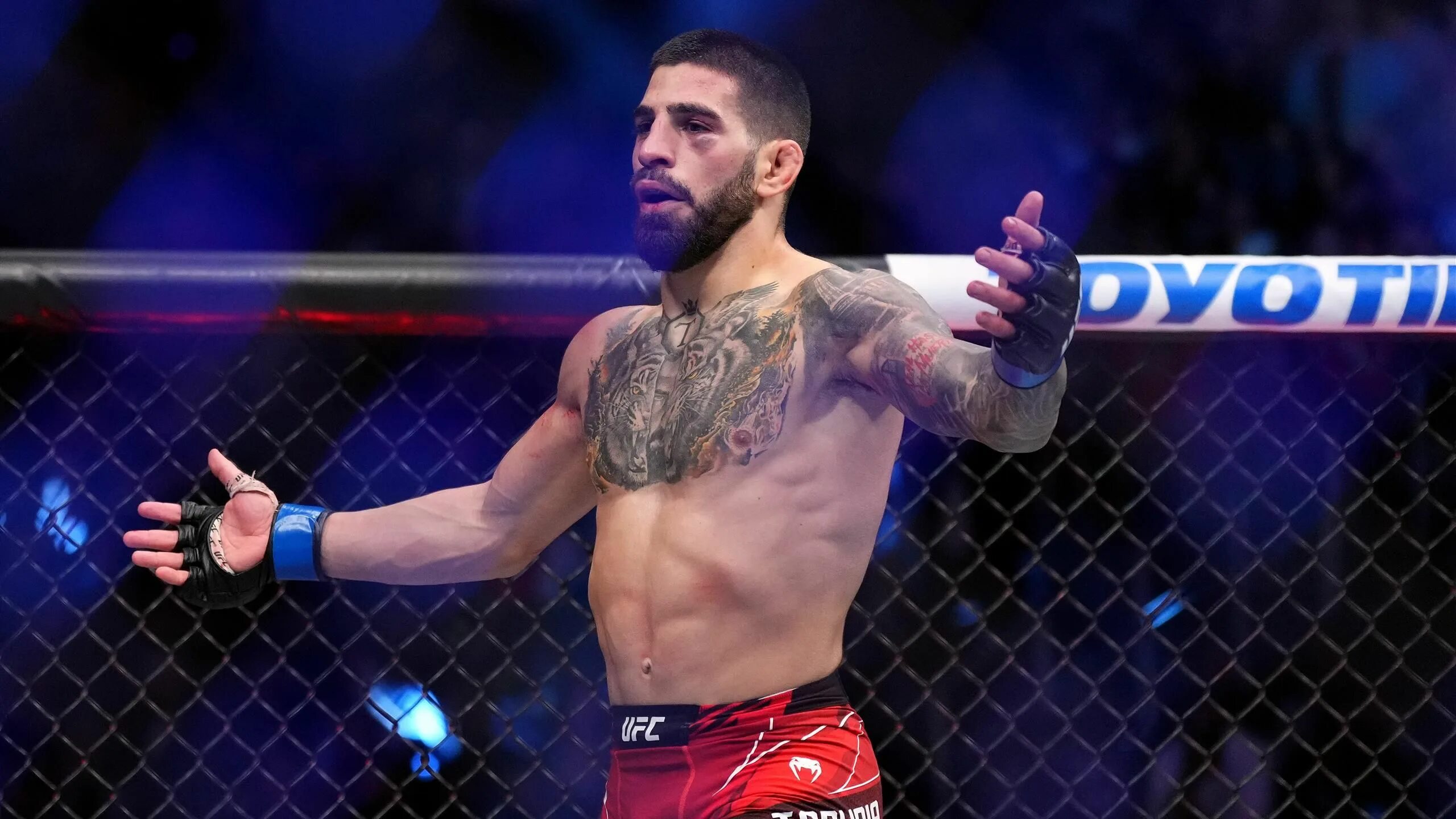 Ufc илия топурия против макса холлоуэя. Topuria ufc. топурия боец ufc. боец. илия топурия боец.