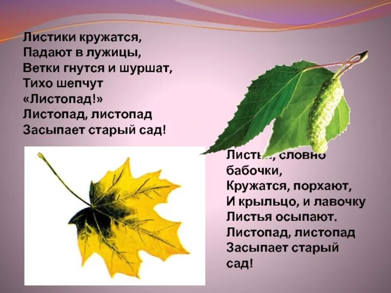 Листик листик листопад текст. Листики кружатся падают в лужицы. листочки порхают листочки кружатся. листопад листопад засыпает старый сад листья. листья кружатся словно бабочки.