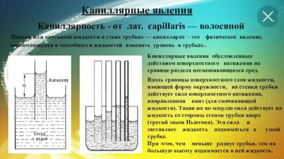 Объясните действие трубочки. Капиллярные явления. Капиллярный эффект. Капиллярное движение жидкости. Капиллярное поднятие жидкости.