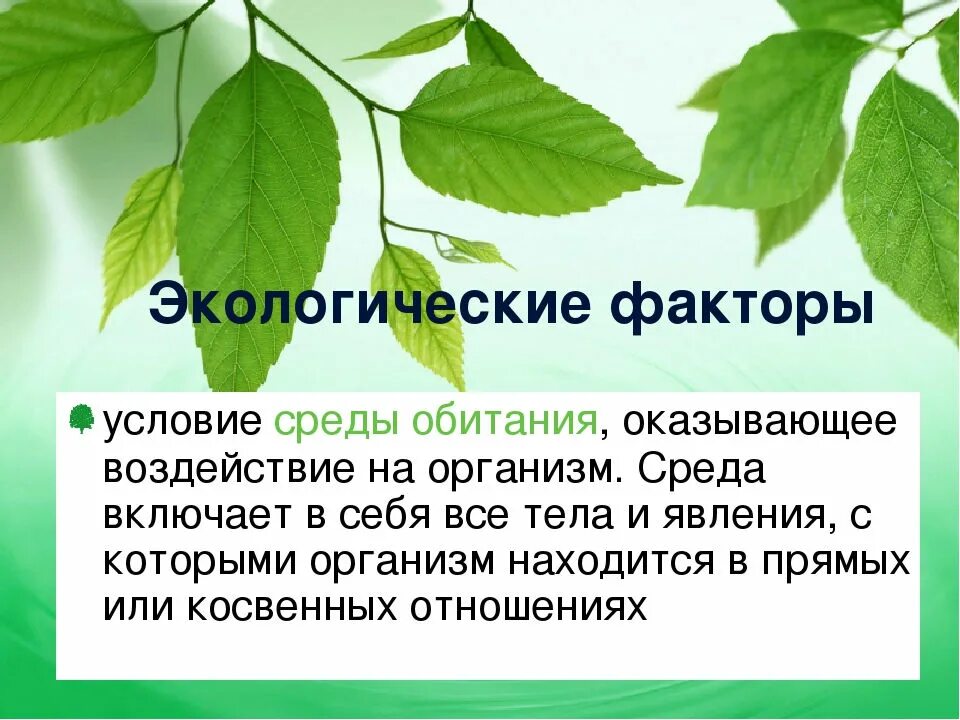 Экологические факторы и условия среды. Экологические условия среды. Среда обитания организмов экологические факторы. Экология как наука среда обитания. Экологические факторы среды презентация 9 класс