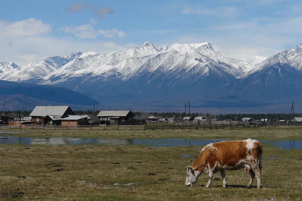 Село в бурятии. Тункинская Долина Кырен. Село Тунка Тункинский район. Село Тунка Бурятия. Туран Тункинский район.