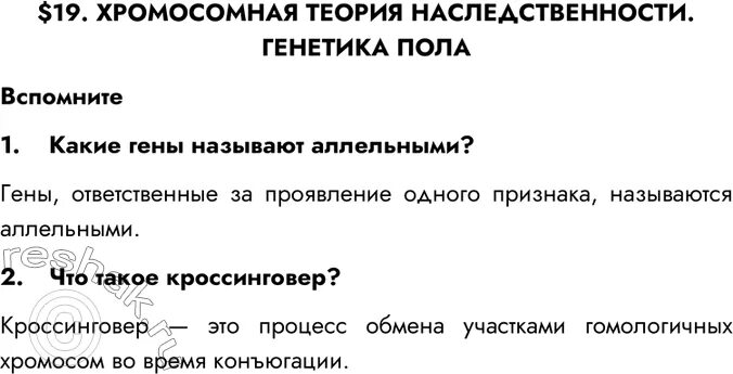 Биология 6 класс 5 параграф пасечник. Конспект по биологии 6 класс параграф 19. Биология параграф 19. Биология параграф 19. Биология параграф 19.