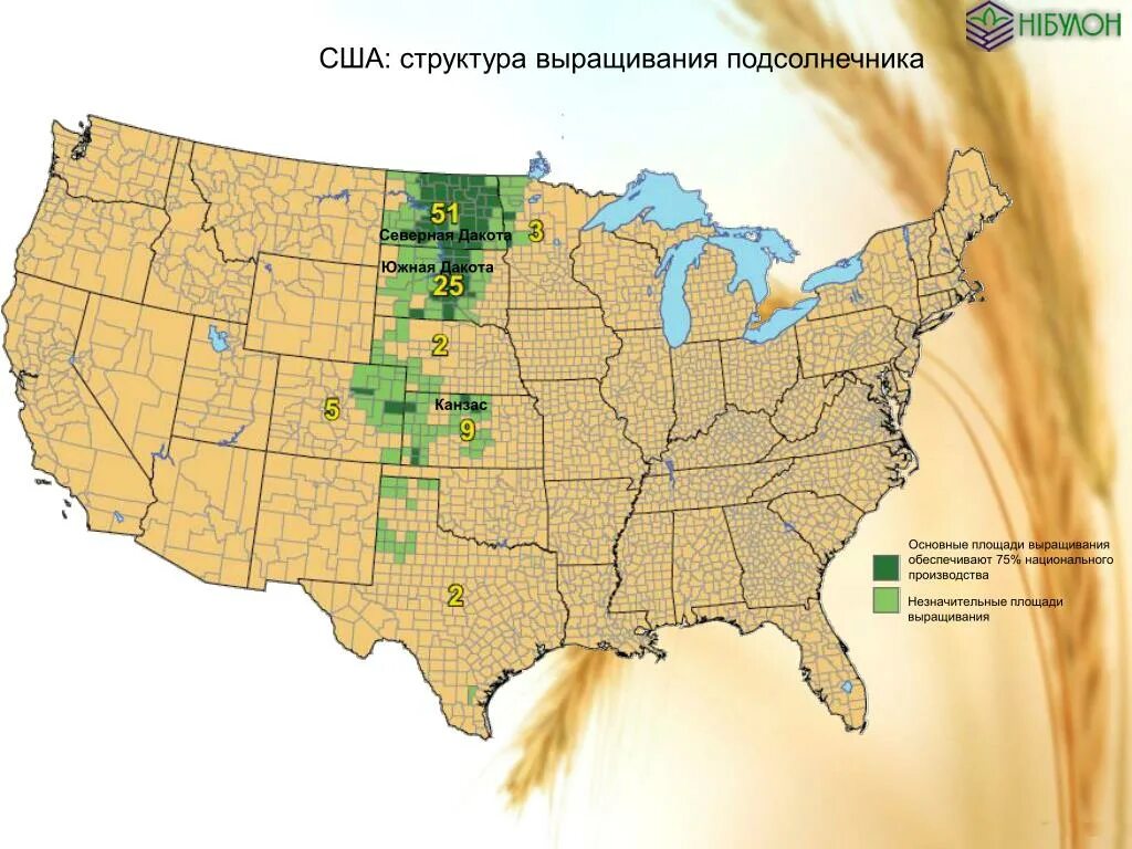 Сельскохозяйственные культуры США И районы возделывания. Районы посевов хлопчатника в США. Карта выращивания хлопка. Хлопчатник где выращивают на карте. Главные сельскохозяйственные районы сша