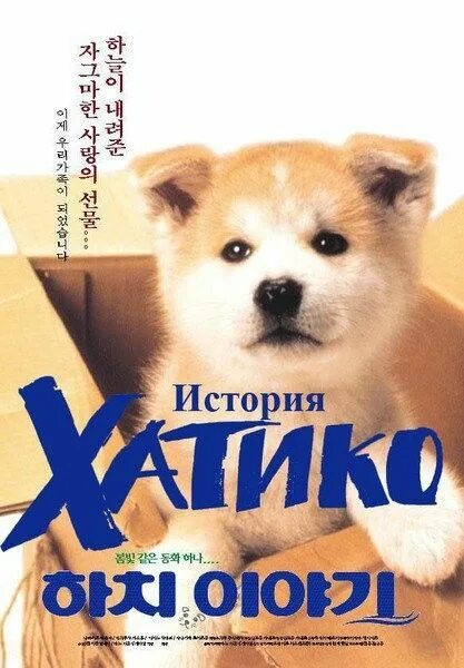 Хатико балаково магазин техники. История Хатико.