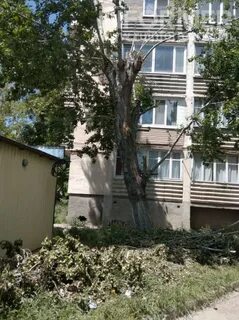 Глазов пионерская