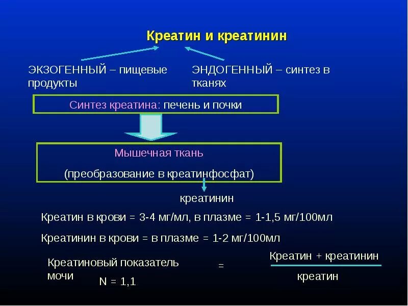 Креатинин 12. Креатин и креатинин. Синтез креатинина. Креатинин Синтез. Креатинин почки.