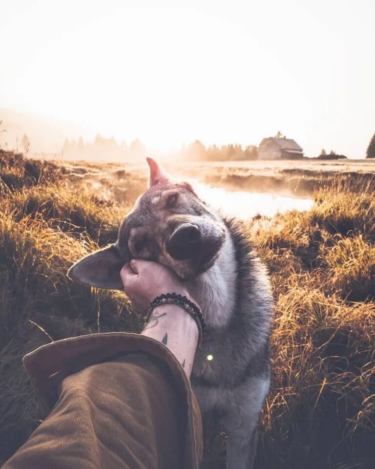 Собаки инстаграмма. Хонза Рехачек. Парень с собакой. Фотосессия с собакой. Человек с собакой.