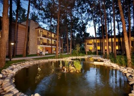 Champion holiday village