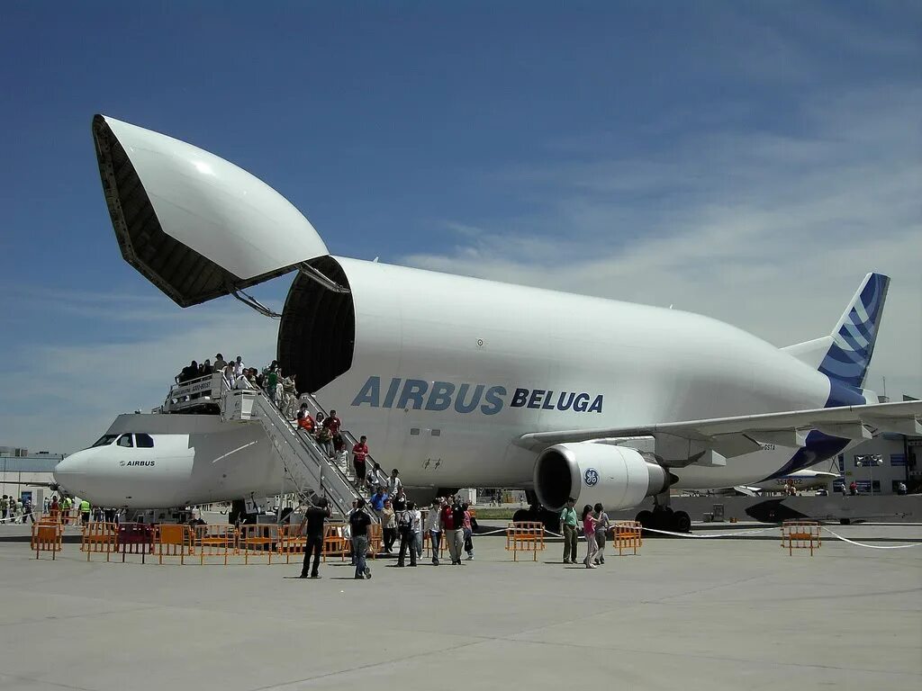Самый большой самолет в мире. Аэробус Белуга пассажирский. Airbus Beluga пассажирский самолёт. Airbus Beluga XL внутри. Аэробус Белуга и Мрия.
