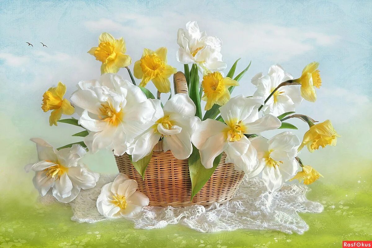 Картинки с весенним праздником красивые. Весенние цветы нарциссы. Открытки с весенними цветами. Чудесные весенние цветы.