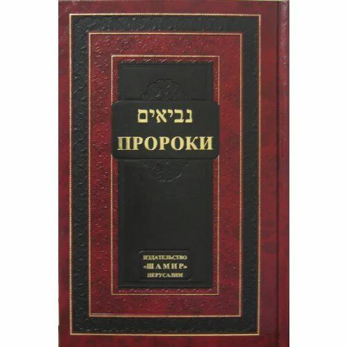 Автор книги пророк. Невиим пророки. танах невиим. невиим книга. о пророках и пророчествах книга.