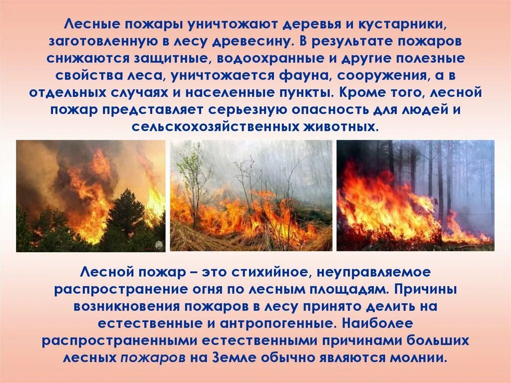 Особенности природного пожара. Лесные пожары. Презентация на тему пожар в лесу. Лесные пожары презентация. Сообщение о пожарах в лесах.