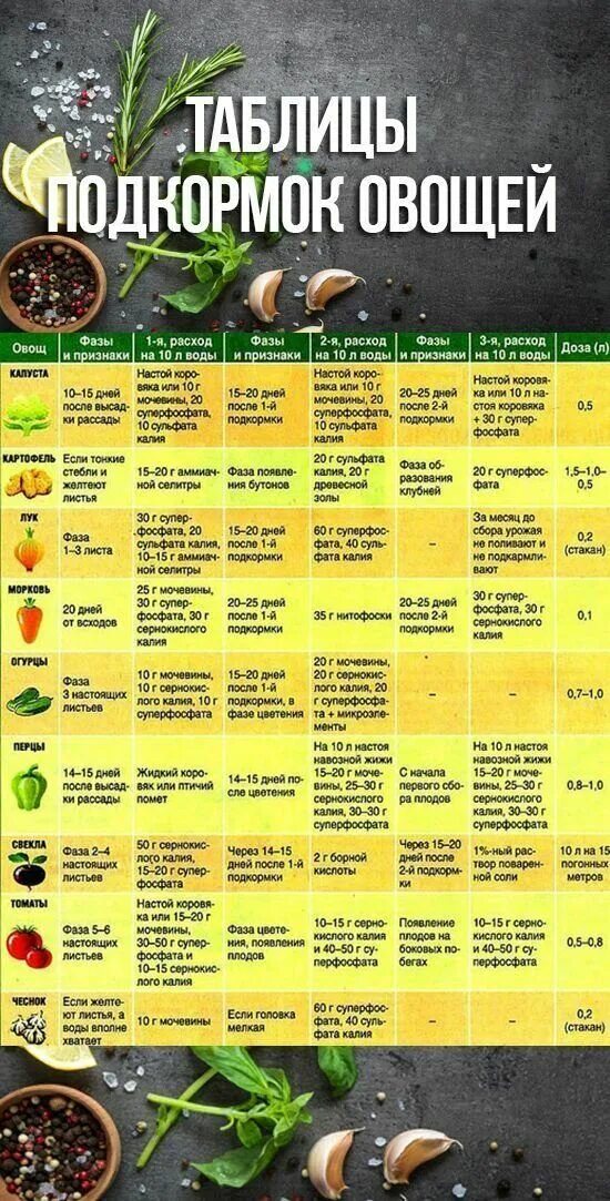 Какие овощи подкармливают. Таблица удобрений для растений в саду. Удобрения для овощных культур таблица подкормки. Таблица подкормки огородных растений. Таблица подкормок овощей органическими удобрениями.
