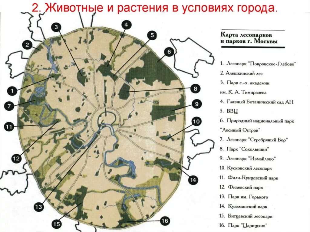 Месяцев в условиях города. Парки Москвы на карте. Крупнейшие парки Москвы карта. Карта лесопарков Москвы. Парки Москвы на карте Москвы.