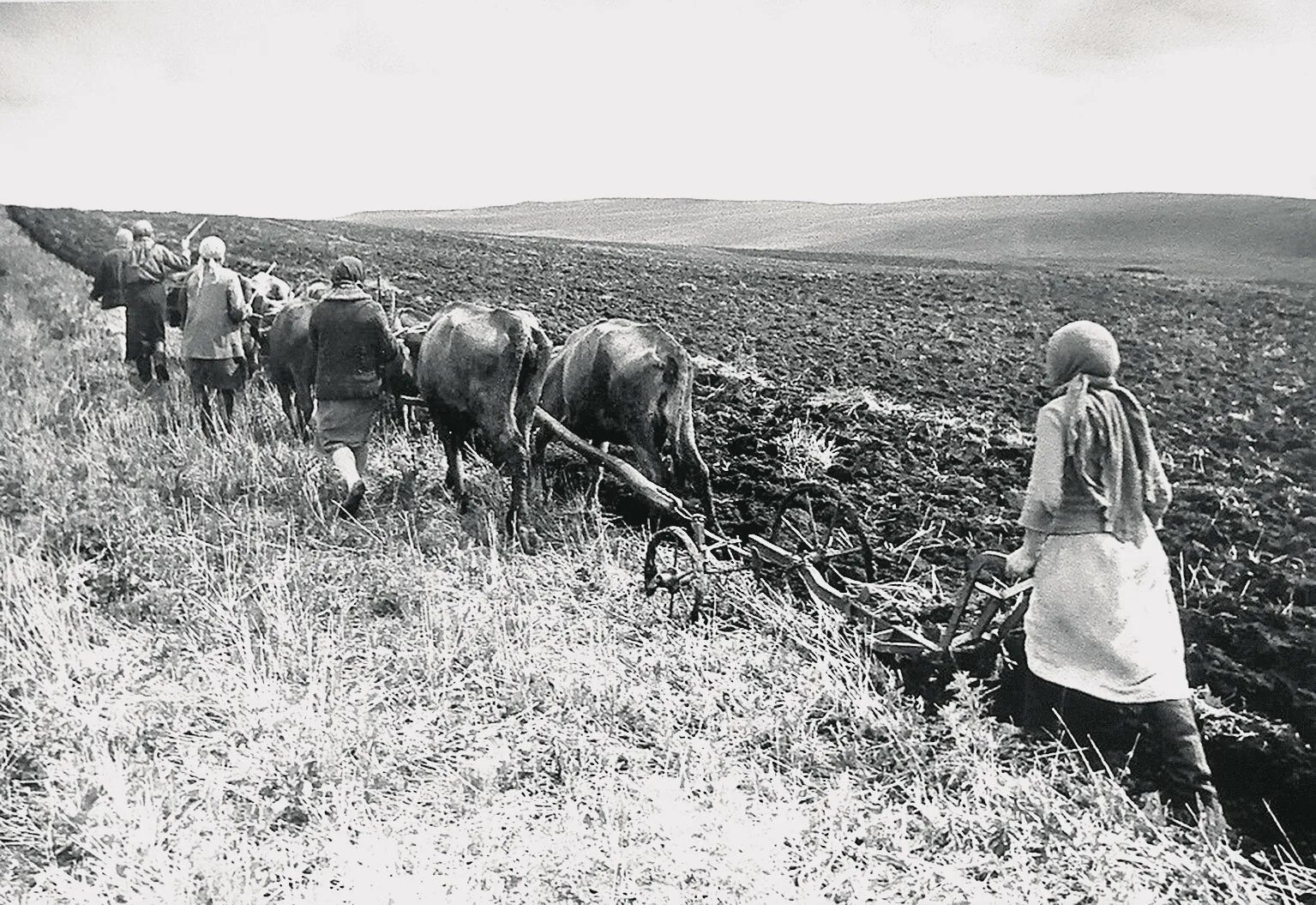 Как жили во время великой отечественной. Сельское хозяйство в годы войны 1941-1945. Сельское хозяйство труженицы тыла в годы Великой Отечественной войны. Труженики тыла в годы Великой Отечественной войны колхоз.