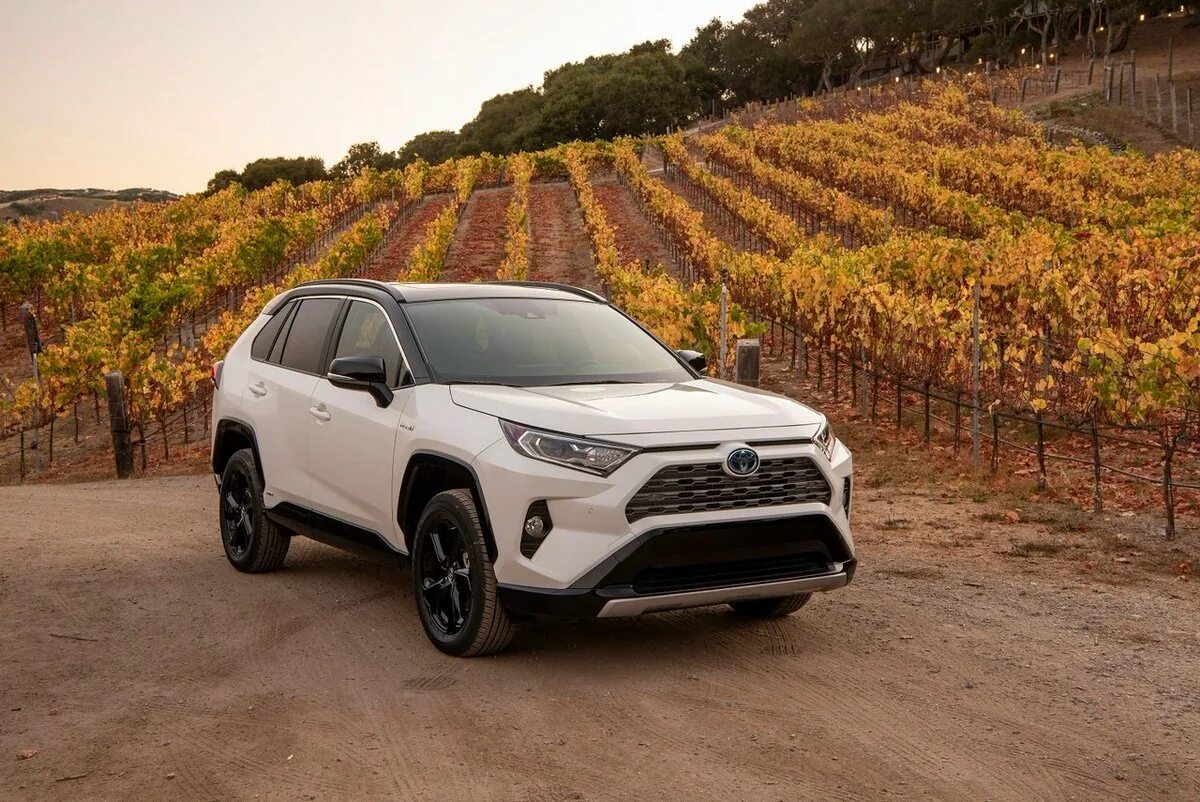 Toyota rav4 2020. Тойота рав 4 2020. Toyota rav4 Hybrid 2020. Toyota rav4 2019 Hybrid.