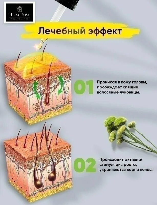Препарат для увеличения роста волос на голове. Как пробудить спящие луковицы. Спящие волосяные луковицы на голове. Разбудить волосяные луковицы. Спящие волосы волосяные луковицы.